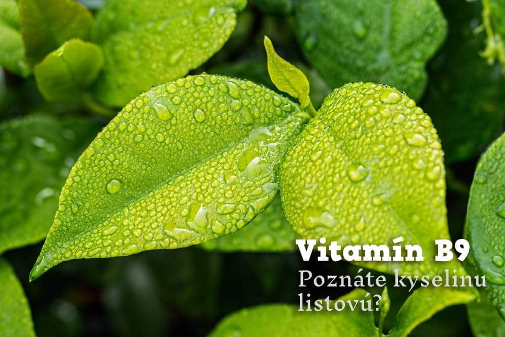 Vitamín B9