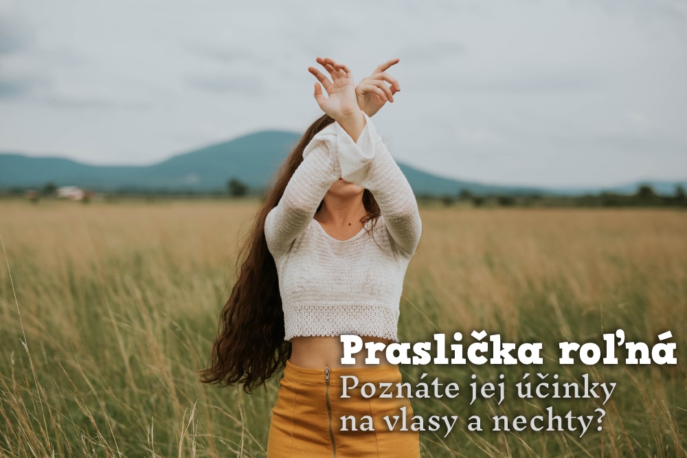 Praslička roľná